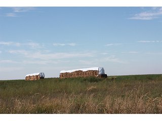 Property photo 70 - LAND AUCTION, 3255+/- Acres offered in 13 Tracts